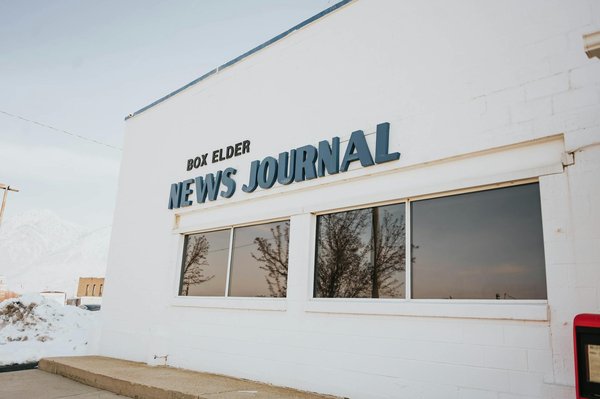 Chatterie ou cat-sitting : Quel choix pour les vacances ?
