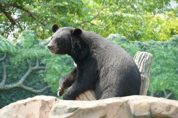 Isolation thermique : confort optimal et économies d'énergie